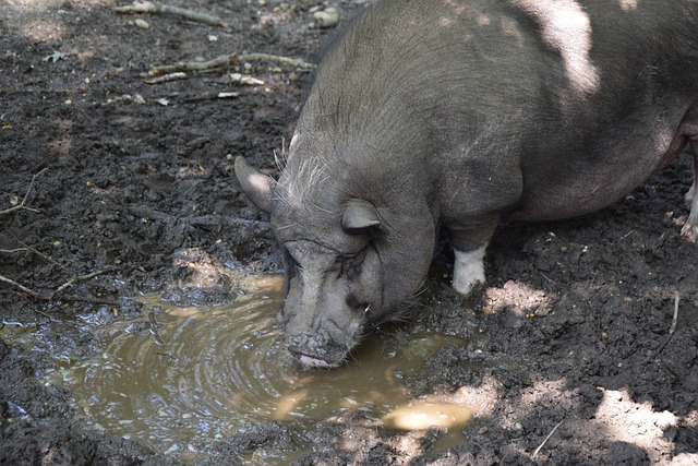 找到了敌人 找到了敌人