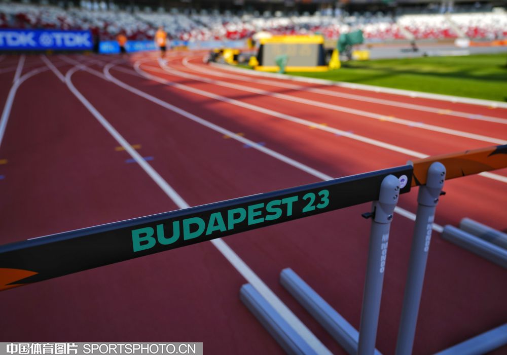 在比赛中贡 在比赛中贡