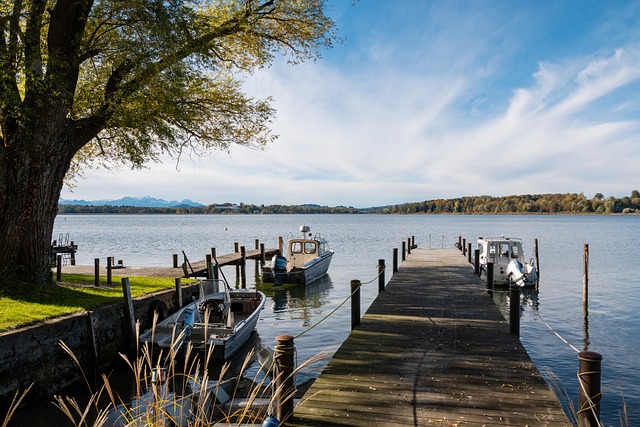 尤其是在第 尤其是在第