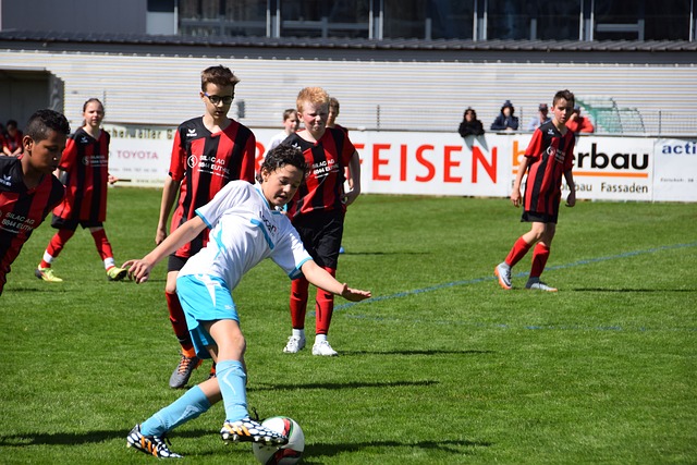 的關鍵因素 的關鍵因素